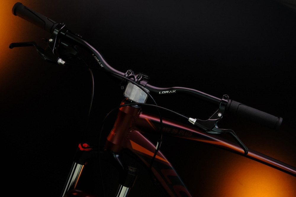 LORAK Safe PLUS 29 Матовый Коричневый