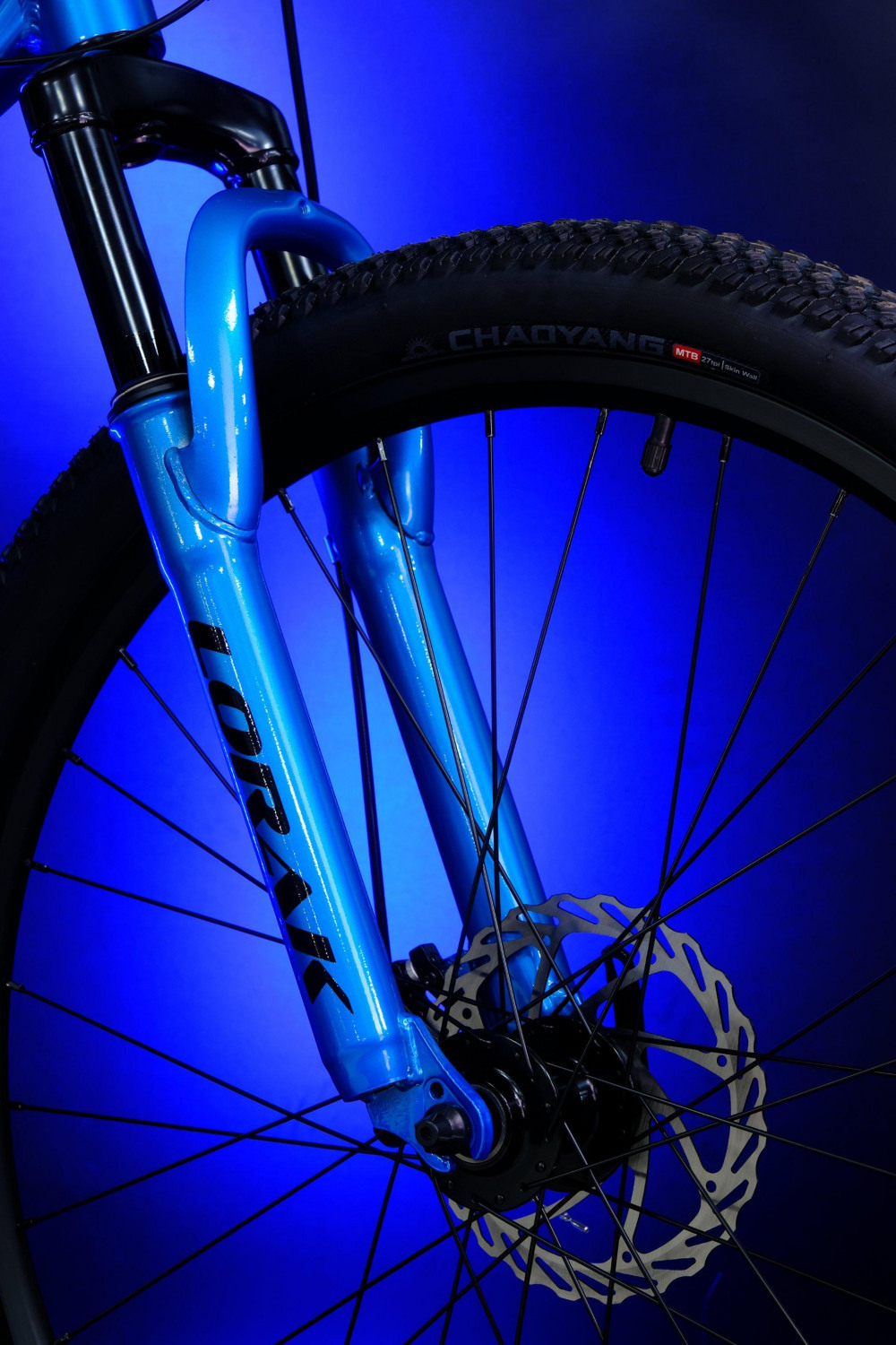 LORAK SHARK 26 GOLD Золотой синий